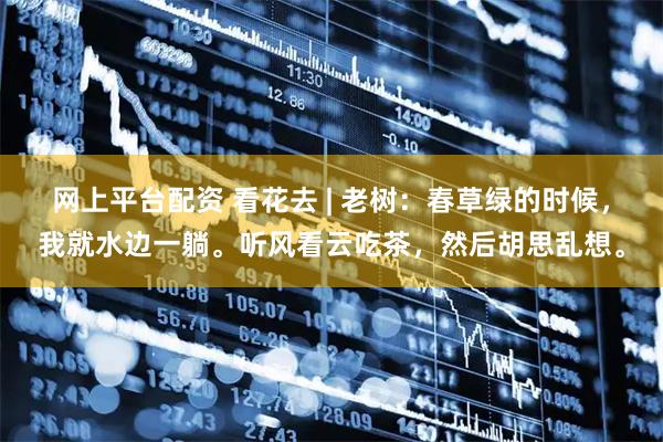 网上平台配资 看花去 | 老树：春草绿的时候，我就水边一躺。听风看云吃茶，然后胡思乱想。